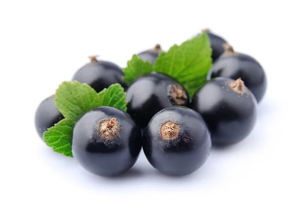 Sweet black currant — Stock Photo, Image