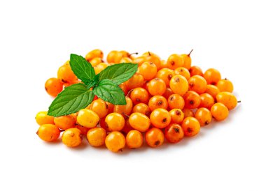 Beyaz arka planda naneli karabatak. Sağlıklı besin maddeleri.