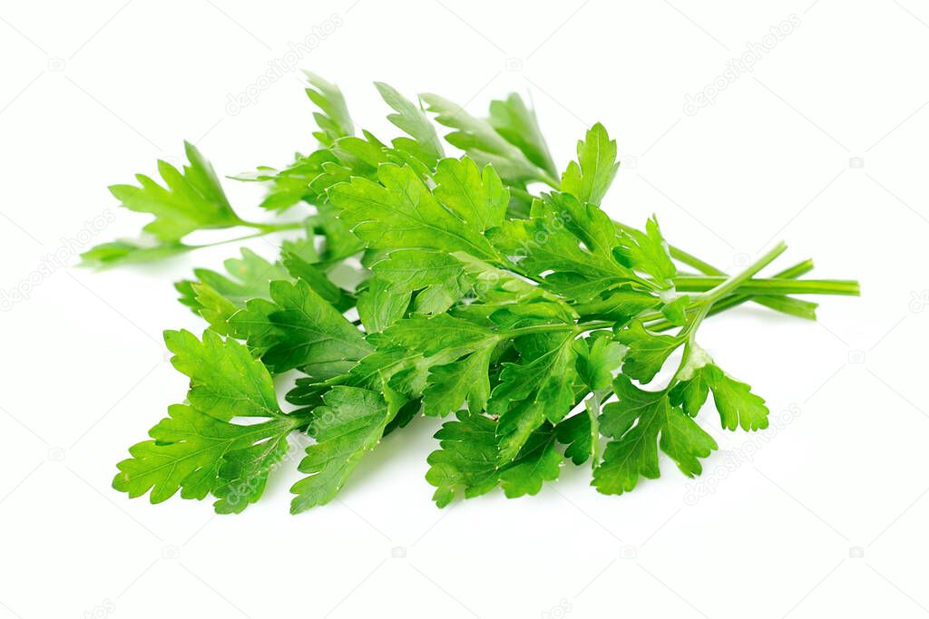 Parsley herbal on white backgrounds.