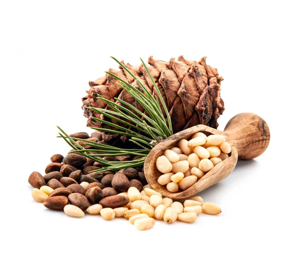 Pine Nuts Cedar Cones White Backgrounds — Stock Photo, Image