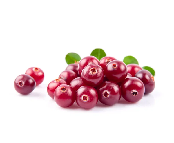 Cranberries Doces Com Folhas Fecham Isolado Fundos Brancos Amadurecer Cowberry — Fotografia de Stock