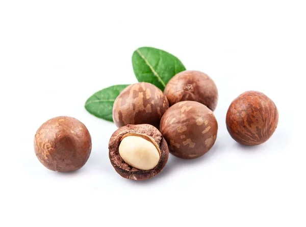 Nueces Macadamia Con Hojas Sobre Fondos Blancos —  Fotos de Stock