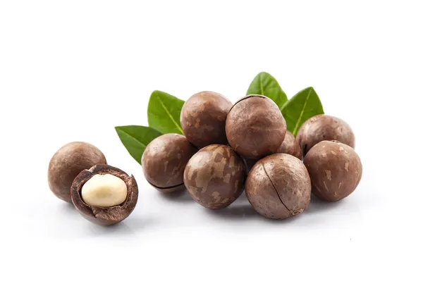 Nueces Macadamia Con Hojas Sobre Fondos Blancos —  Fotos de Stock