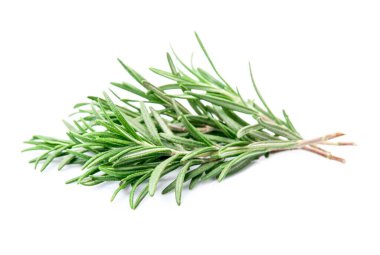 Beyaz arka planda biberiye dalı. Baharatlar bitkisel.