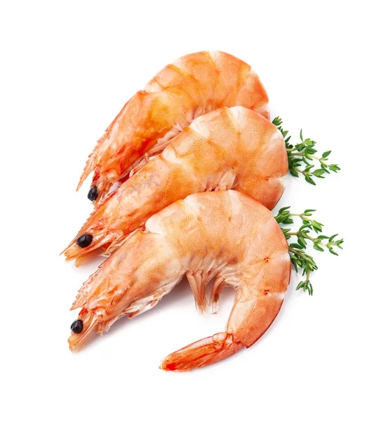 Shrimps Closeup White Backgrounds — Stockfoto