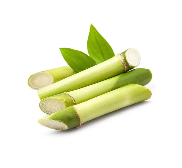 Bamboo Branches White Backgrounds — Stockfoto