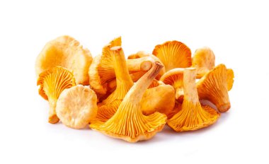Chanterelle mantarları beyaz arka planda yığılıyor..