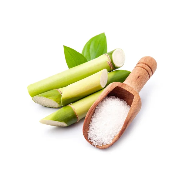 Cane Sugar Bamboo Plant White Backgrounds — Stock Photo, Image