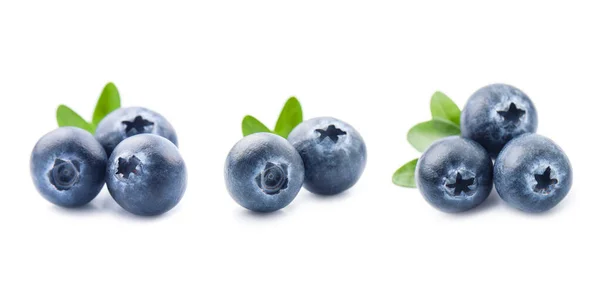 Sweet Blueberries Macro Closeup White Backgrounds — Stock Photo, Image