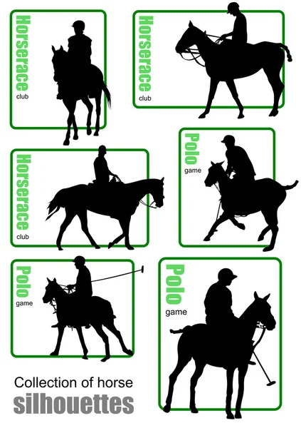 Grande collection de silhouettes de chevaux. illustration vectorielle — Stok Vektör