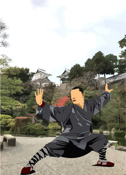 Orientalischer Kampfsport Shu Farbige Vektor Illustration — Stockvektor