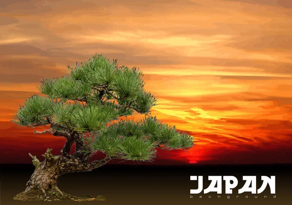 Japan Style Background Bonsai Color Vector Illustration — Stock vektor