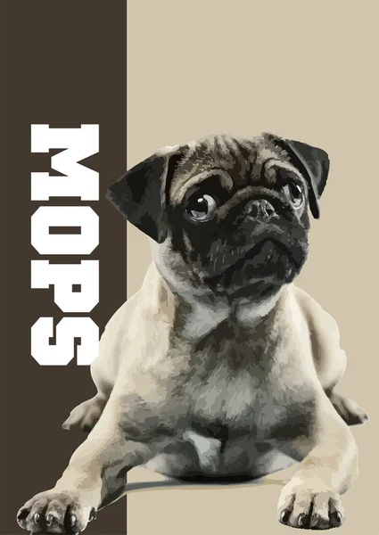 Ein Mopshund Großaufnahme Vektor Poster Illustration — Stockvektor