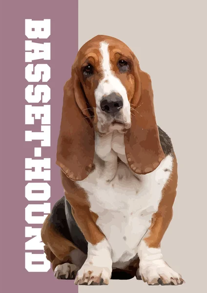 Κοντινό Πλάνο Ενός Όμορφου Μπασέ Σκύλου Διανυσματική Απεικόνιση Αφίσα — Διανυσματικό Αρχείο