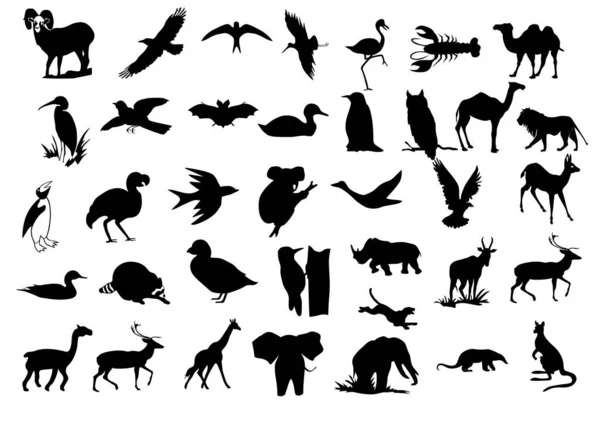 Gran Conjunto Blanco Negro Animales Dibujos Animados Lindos Vector — Archivo Imágenes Vectoriales