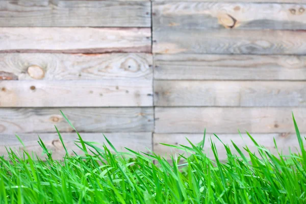 Recinzione in legno con sfondo erba — Foto Stock