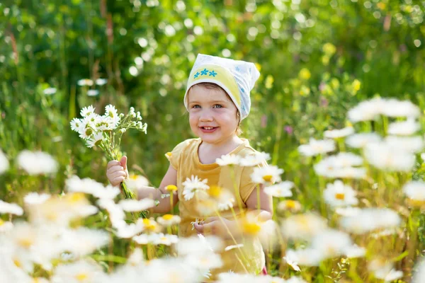 Flicka i sommar camomile anläggning — Stockfoto