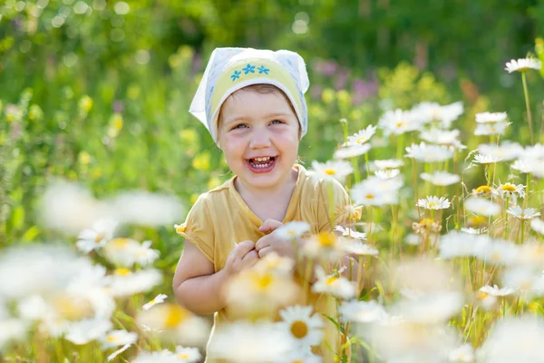 Happy girl in daisy meadow — Stock Photo, Image