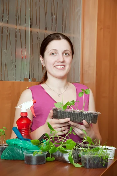 Girl with various seedlings — Stock Photo, Image