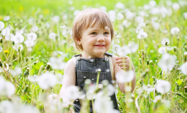 Niño de dos años en el prado de diente de león — Foto de Stock