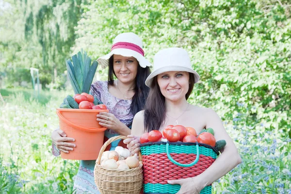 Mulheres com legumes colhidos — Fotografia de Stock