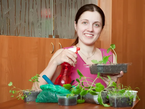 Girl with various seedlings — Stock Photo, Image