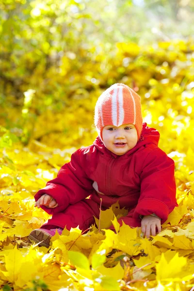 Enfant d'un an assis sur des feuilles d'érable — Photo