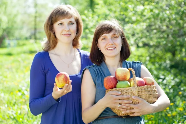 Щасливі жінки з кошиком зібраних яблук — стокове фото