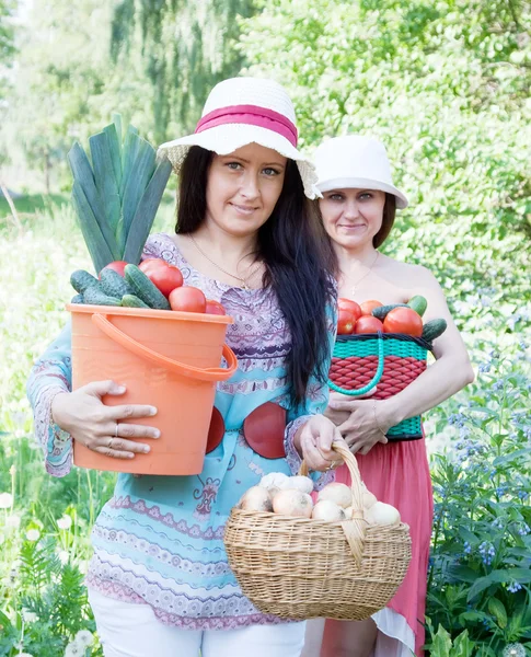 Kvinnor med skördade grönsaker i trädgården — Stockfoto