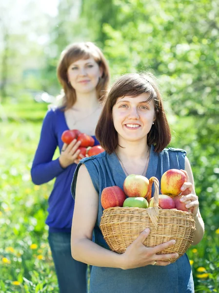 Women with harvest in orchard — Stock Photo, Image