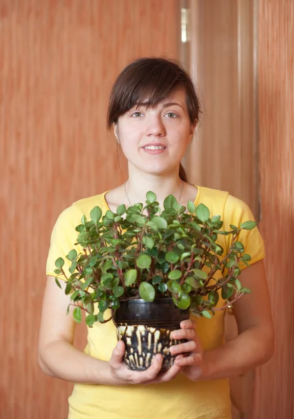 Mujer con Peperomia obtusifolia en maceta — Foto de Stock