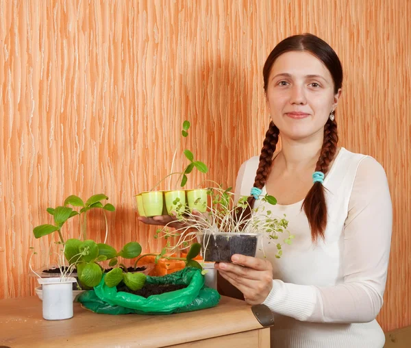 Kvinna med olika plantor — Stockfoto