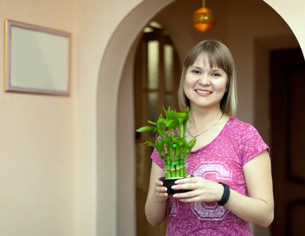 Dívka s dracaena v hrnci — Stock fotografie