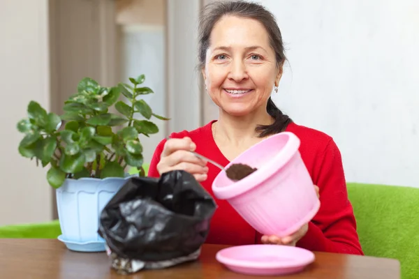 Trapianti di donna fiore in vaso — Foto Stock