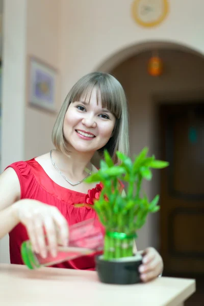 Girl with lucky bamboo plant — Stock Photo, Image