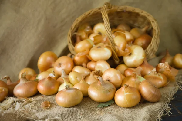 Onion on sacking — Stock Photo, Image