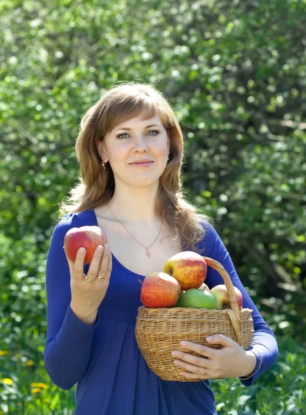 Femme avec paniers de pommes récoltées — Photo