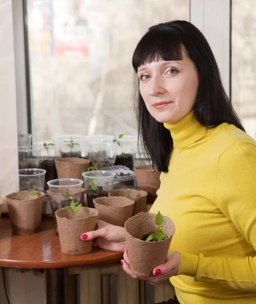 Female gardener with various seedlings — Stock Photo, Image