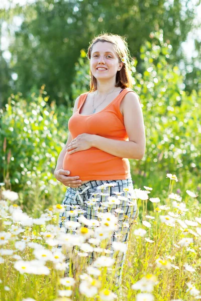 Mujer embarazada en planta de manzanilla —  Fotos de Stock