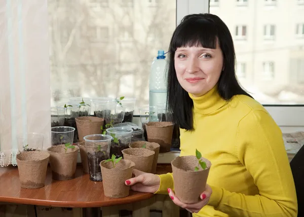 Kvinna med olika plantor — Stockfoto