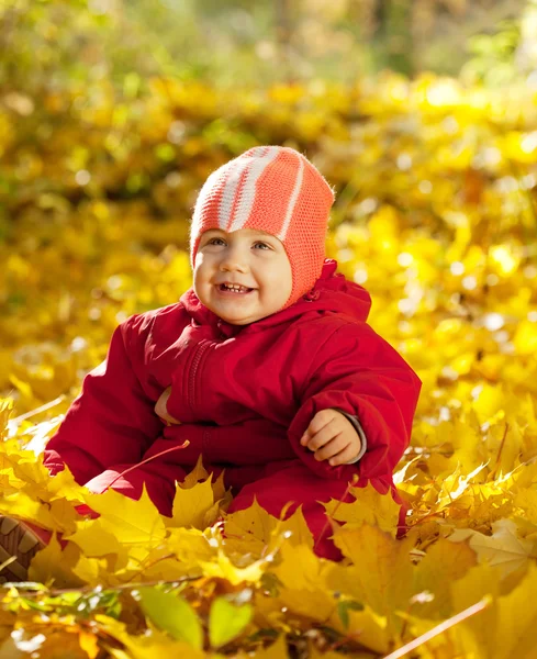 Happy toddler in autumn park — Stock Photo, Image