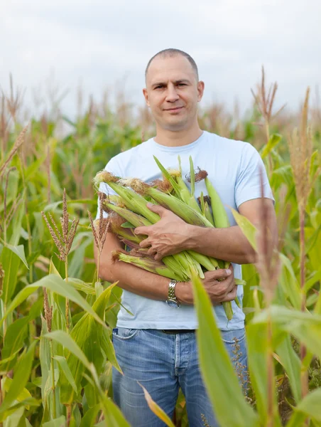 Bonde i fält av majs — Stockfoto