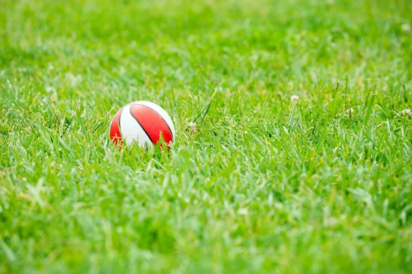 Green grass background with toy ball — Stock Photo, Image