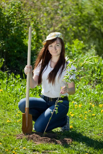 Tuinieren vrouw — Stockfoto