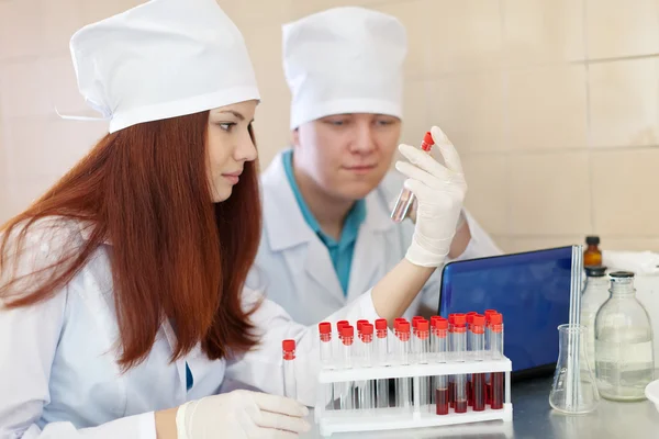 Research workers with test tubes — Stock Photo, Image