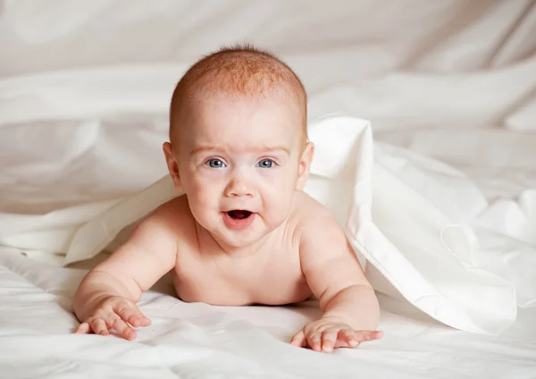 Baby of 5 months — Stock Photo, Image