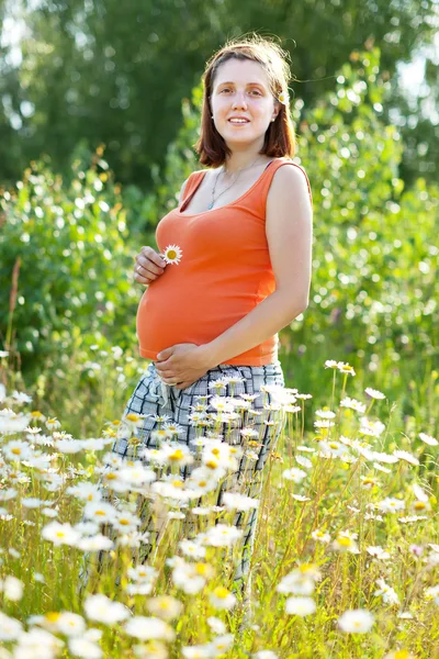 Schwangerschaft Frau in Gänseblümchen-Pflanze — Stockfoto