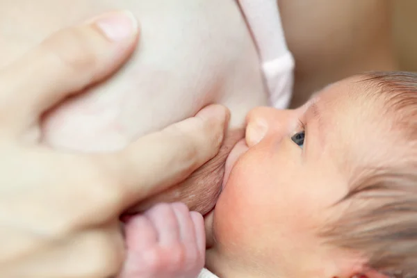 Allattamento neonato — Foto Stock