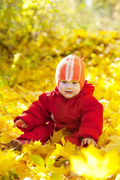 Niño de un año sentado en hojas de arce —  Fotos de Stock