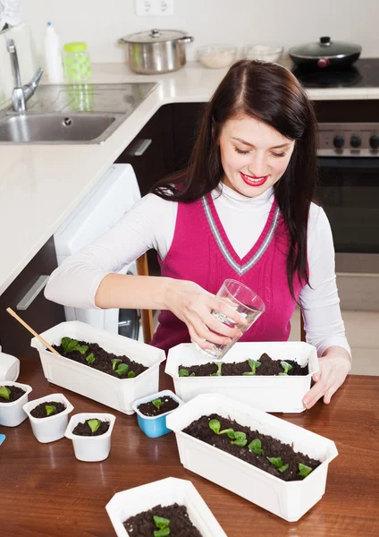 Brunette woman working with seedlings — Stock Photo, Image